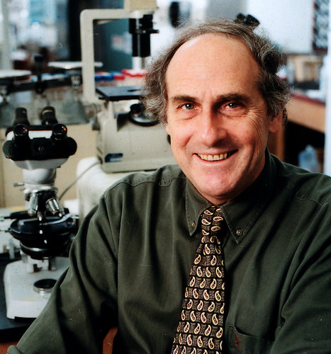 STEINMAN-obit-popup.jpg