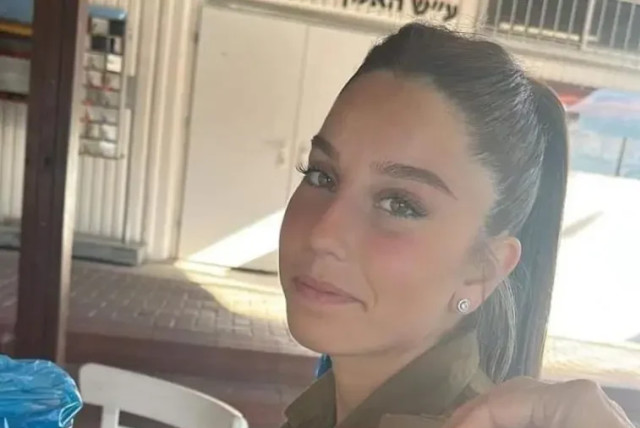558375.jpg