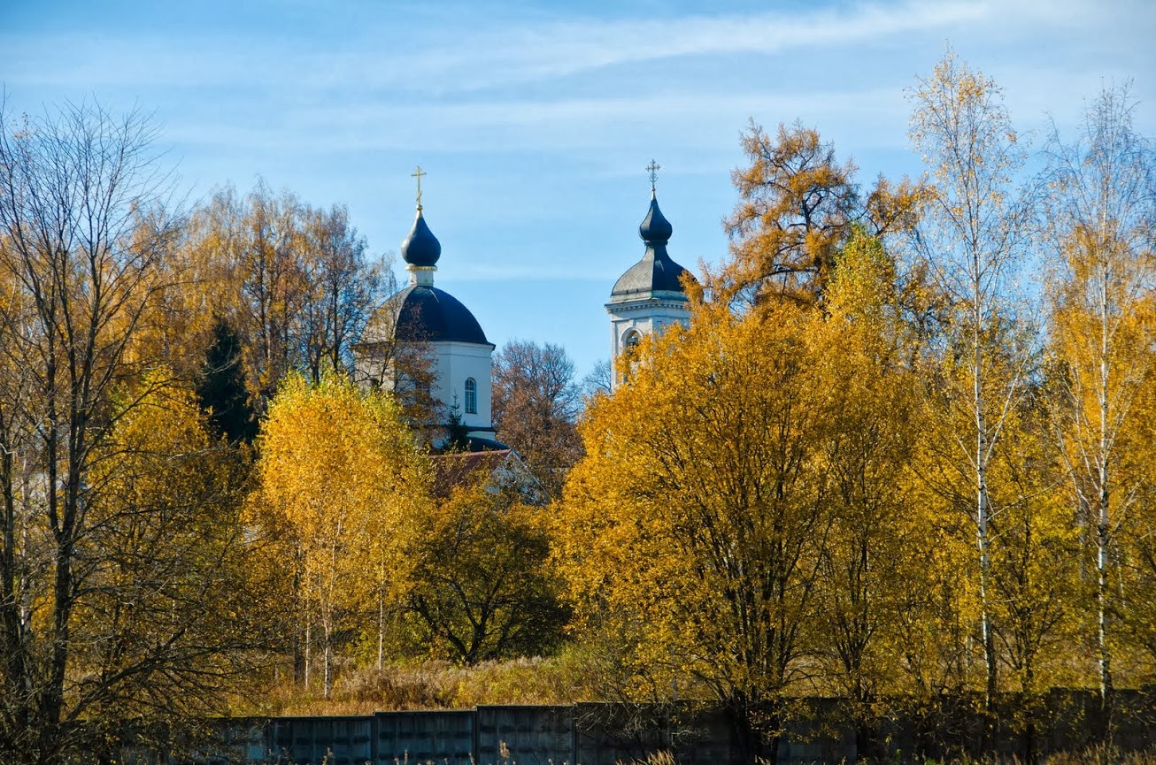 Pokrovskoe Rubtsovo4.jpg