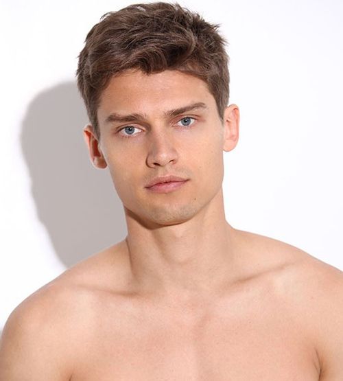 Файл:Vladimir_Ivanov_model.jpg