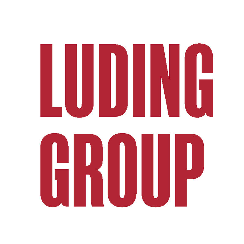 Luding Group.jpg