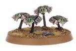 Scarabs2.jpg