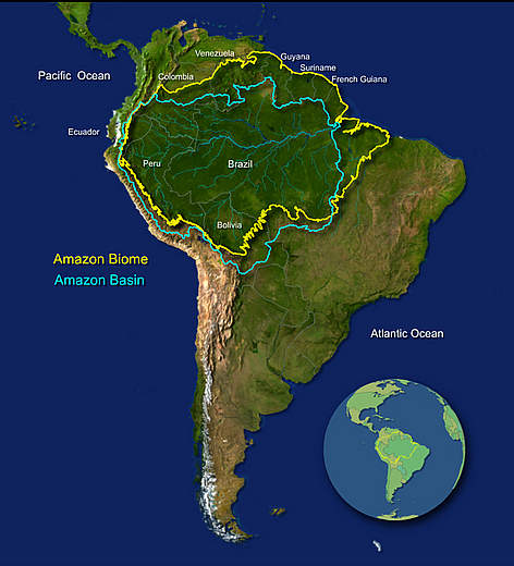 Amazon rainforest ecoregion and Amazon basin borders.jpg