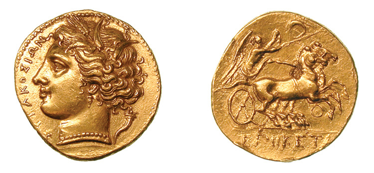Hicetas 395743.jpg