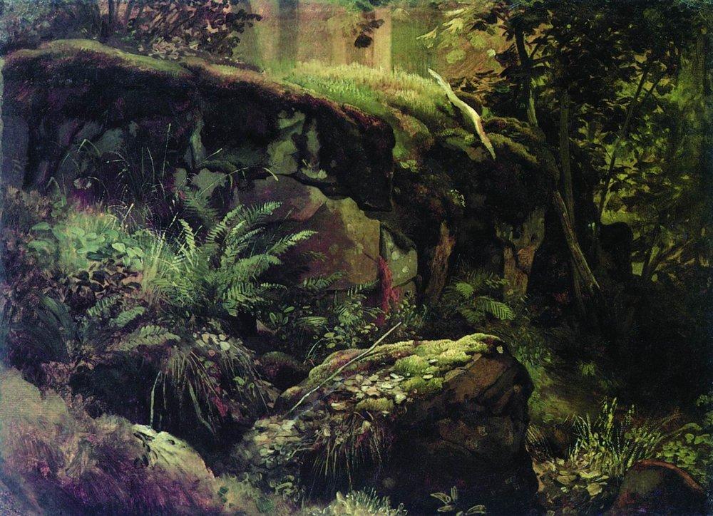 Камни в лесу. Валаам. Между 1858 и 1860