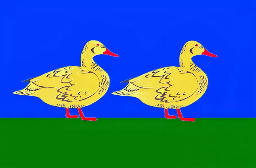 Flag Yaranska.jpg