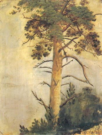 Сосна на скале. Этюд. 1855