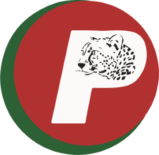 Флаг