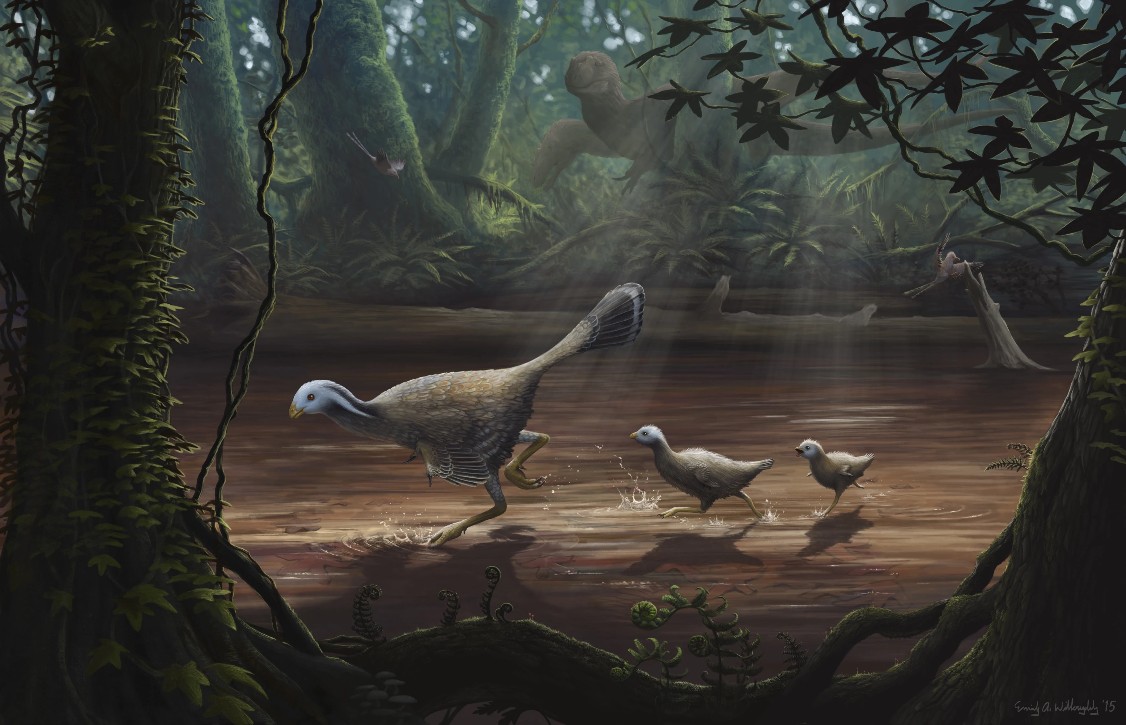 Caudipteryx Emily Willoughby Art.jpg