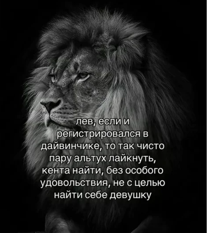 Лев 7.png