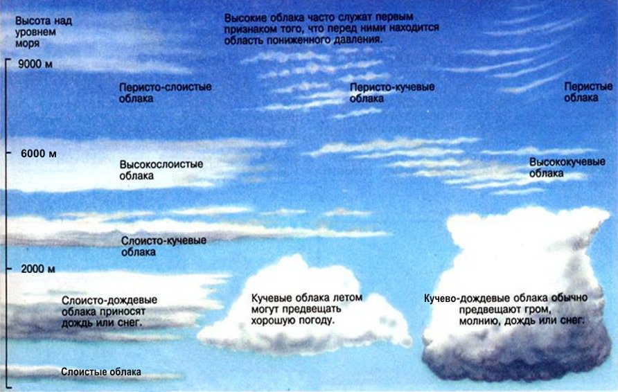 Виды облаков.jpg