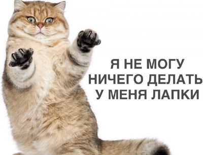 Мем "У меня лапки".jpg