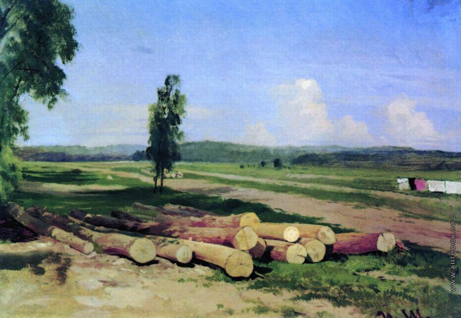 Бревна. Деревня Константиновка близ Красного села. 1868—1869