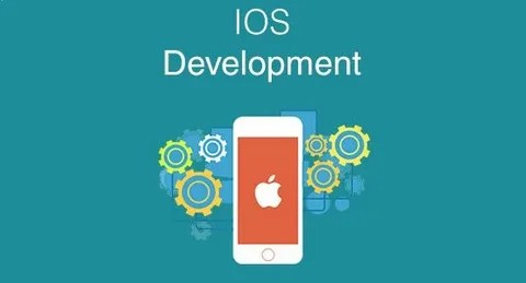 Файл:IOS-разработчик.jpg