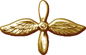 RAF AF branch insignia1936.gif