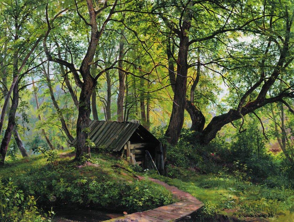 Старые липы. 1894