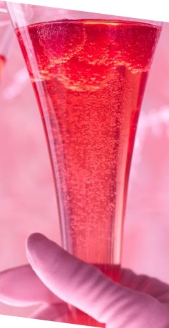 Hibiscus Royal (коктейль).jpg