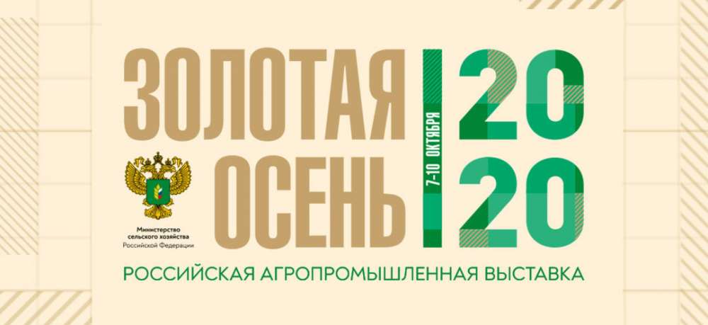 Файл:Золотая осень-2020.jpeg