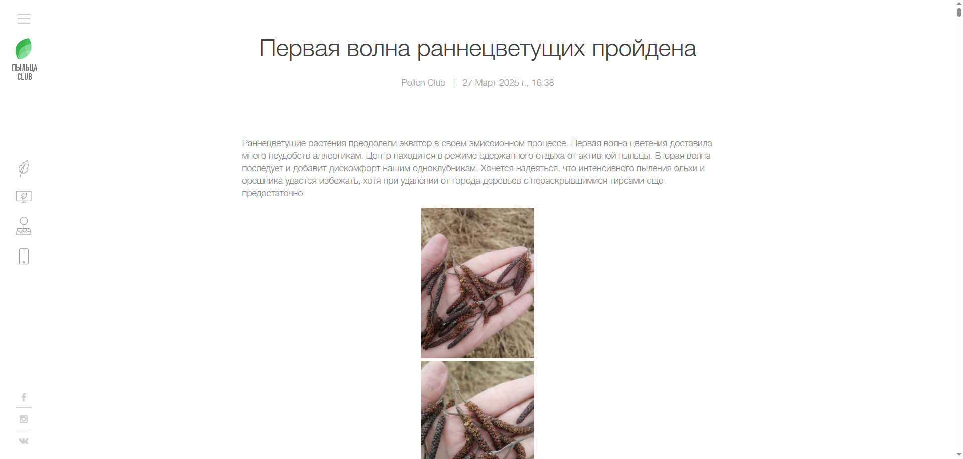 Пыльцаклабвебсайт2.png
