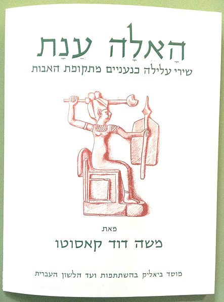 13anat666.jpg