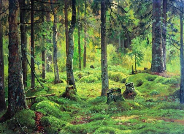 Валежник. 1893