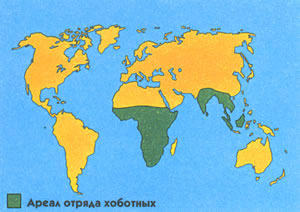 Ареал распространения