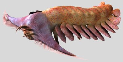 Pambdelurion 03.jpg