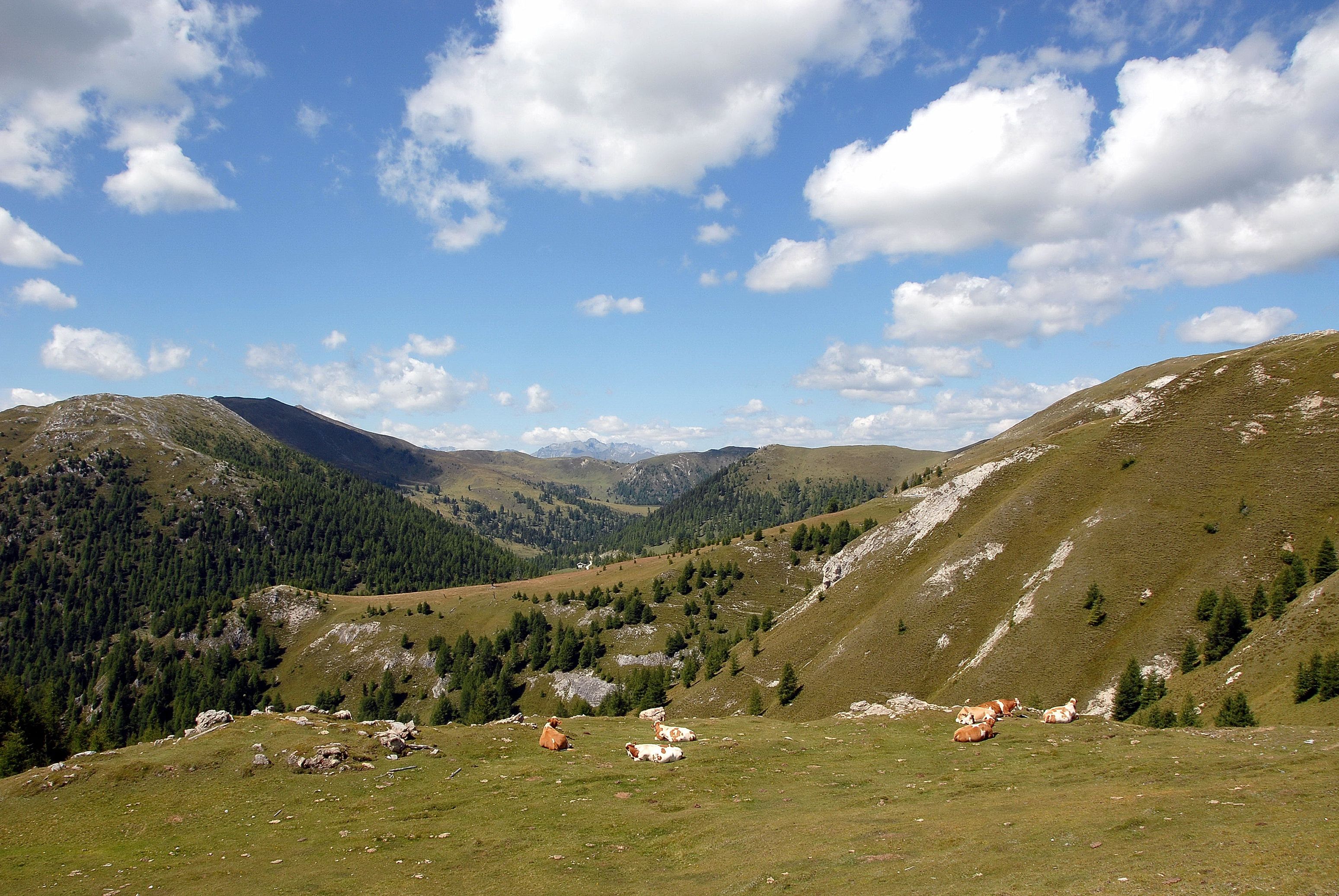 Nationalpark Nockberge Landschaft 26082007 01.jpg