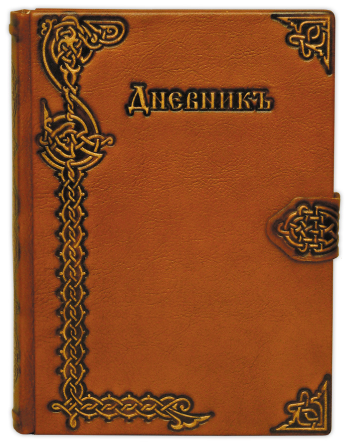 Школьный дневник (Украина).jpg