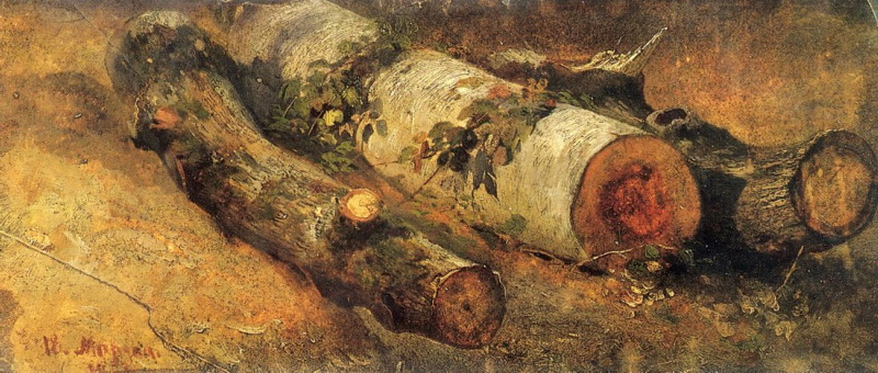 Срубленные березы. 1864