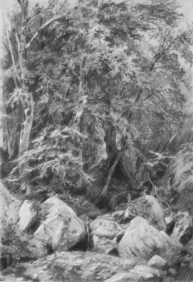 Деревья у ручья на горе Кастель. 1879