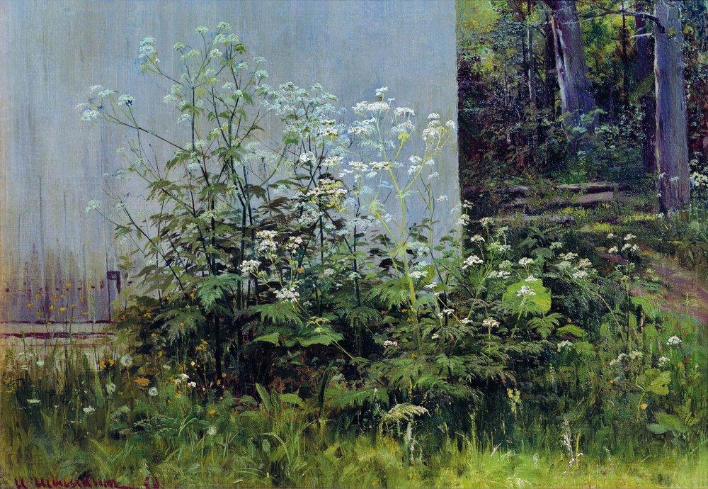Цветы у забора. 1880-е