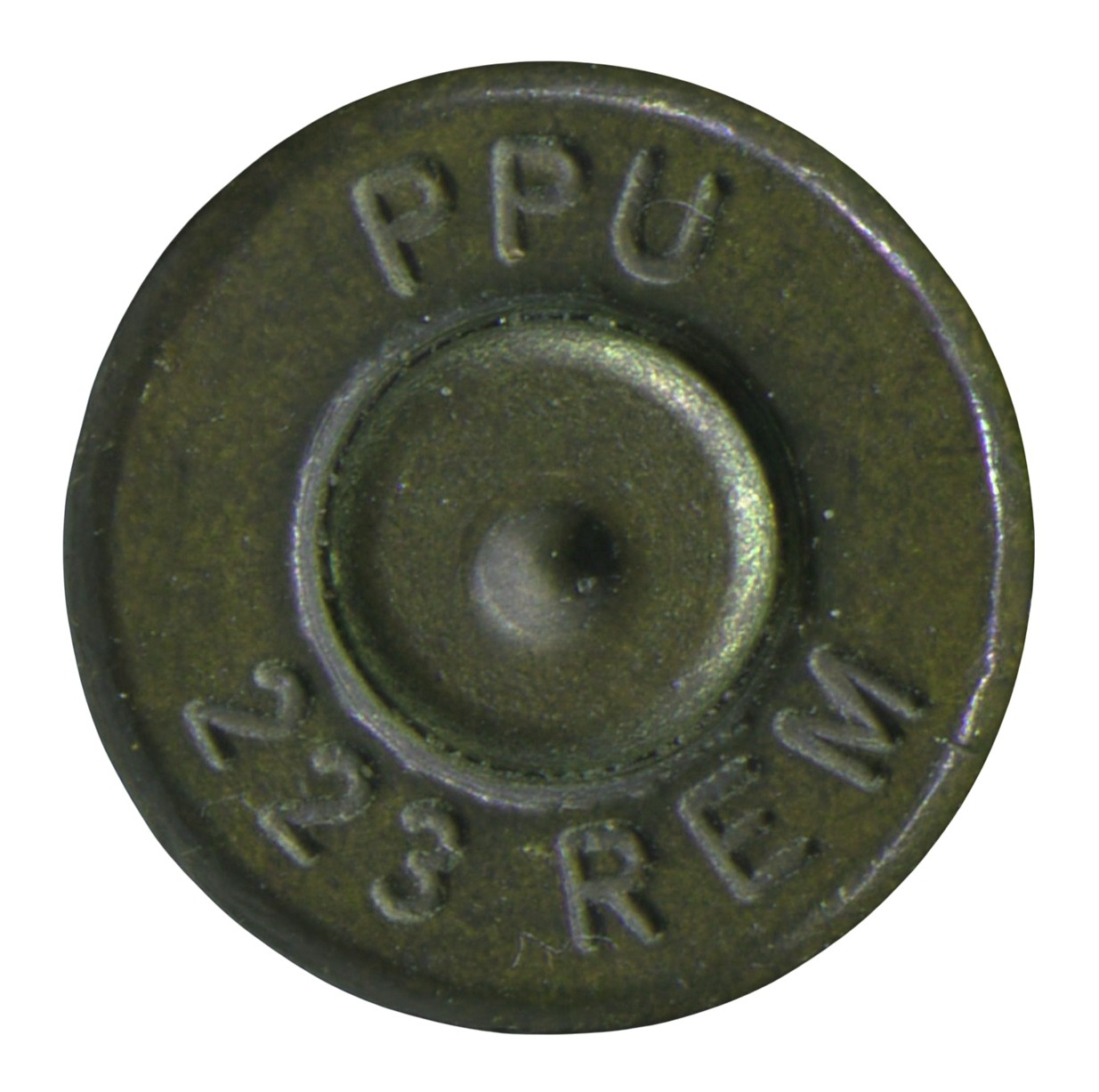 PPU 223 REM.JPG