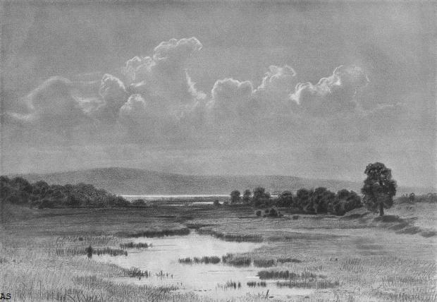 Болото. 1884