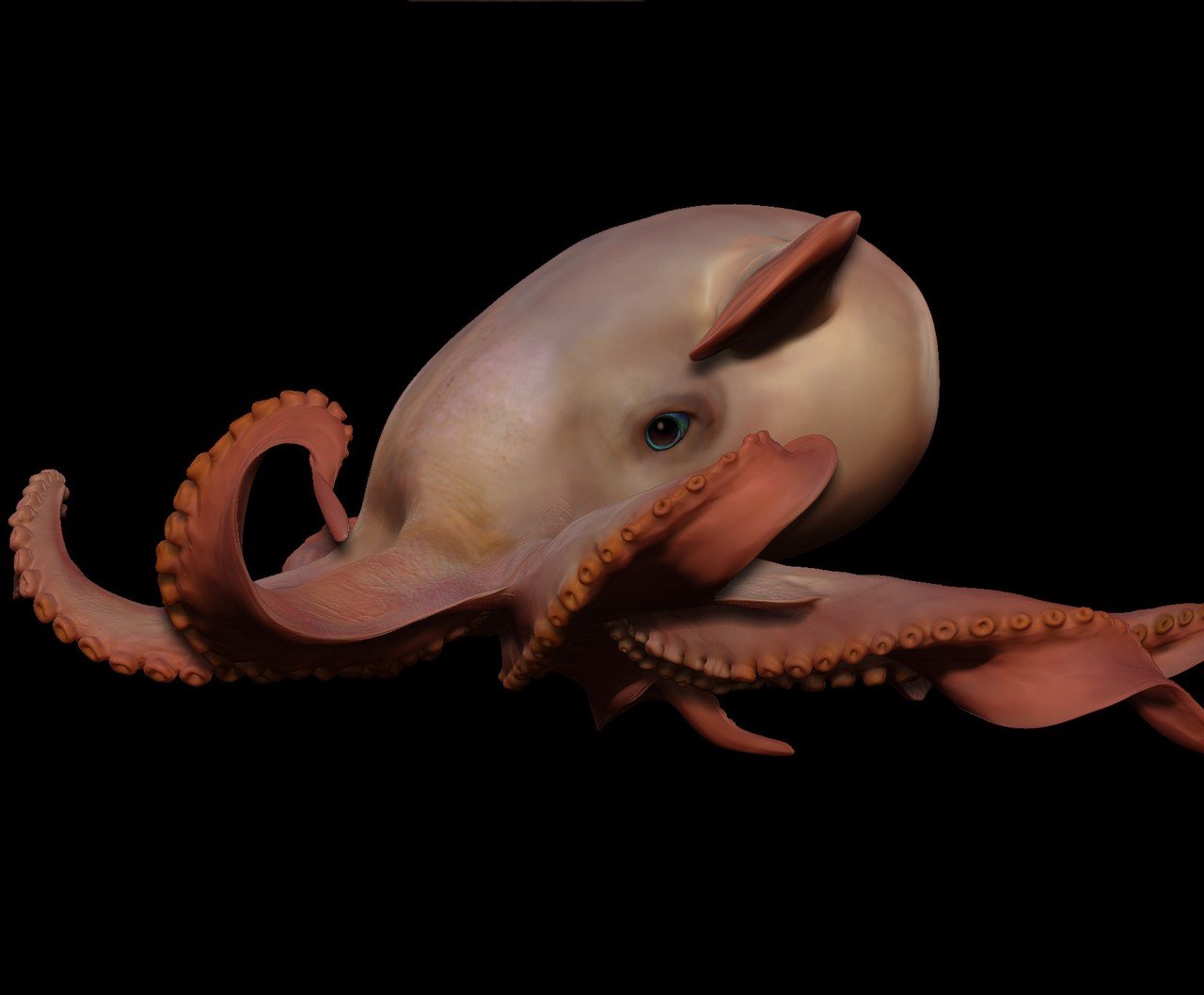 Cirrina 1.jpg