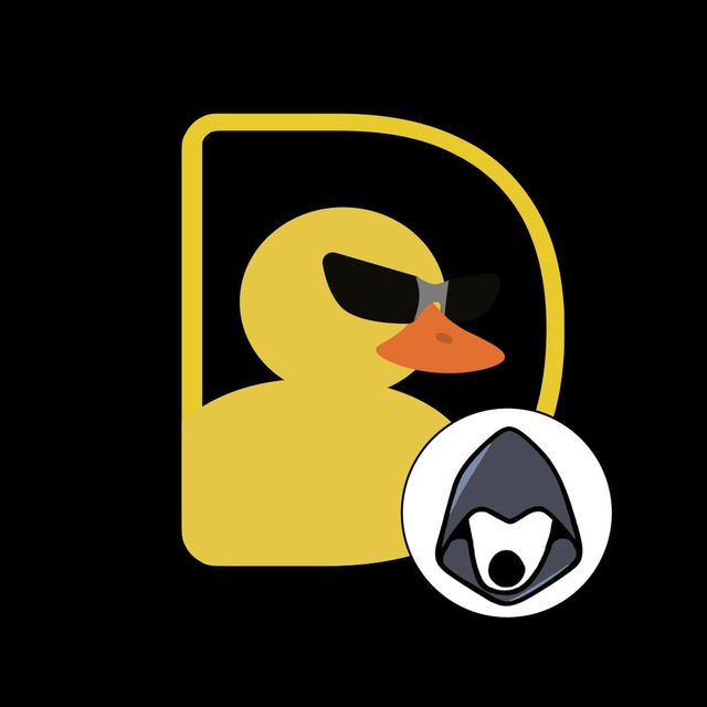 Файл:DuckChain Logo.jpg