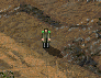 Mutant Hijacker.png