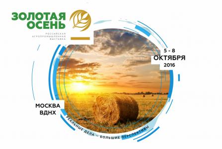Файл:Золотая осень-2016.jpg