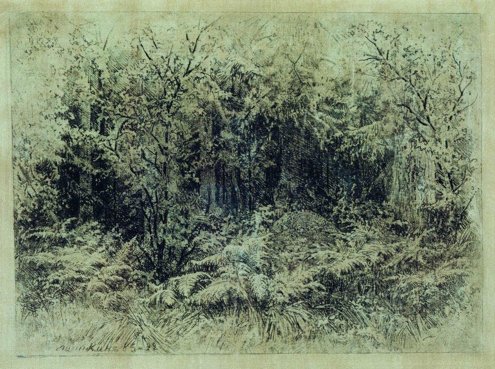 Муравейник. 1892