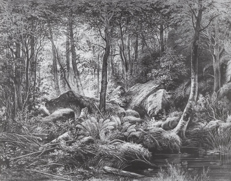 Трущоба (Вид на острове Валааме). 1860