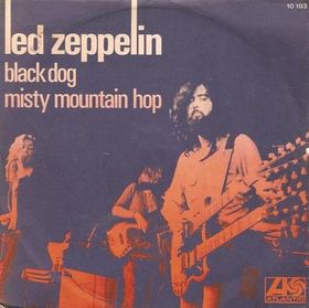 Black Dog45.jpg