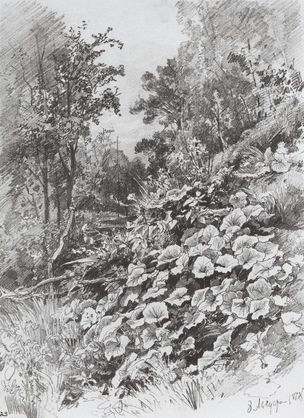 Мать-и-мачеха. 1878