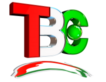 Файл:ТВСафина.png