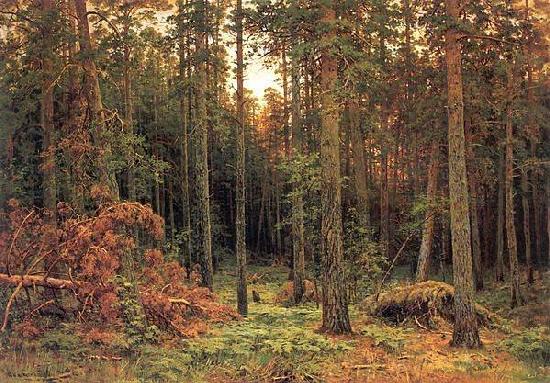 Сосновый лес. 1885