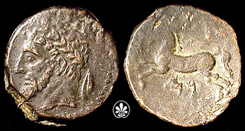 Sg6596.jpg