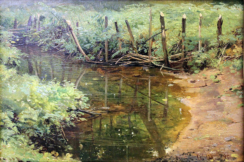 Запруда. 1895