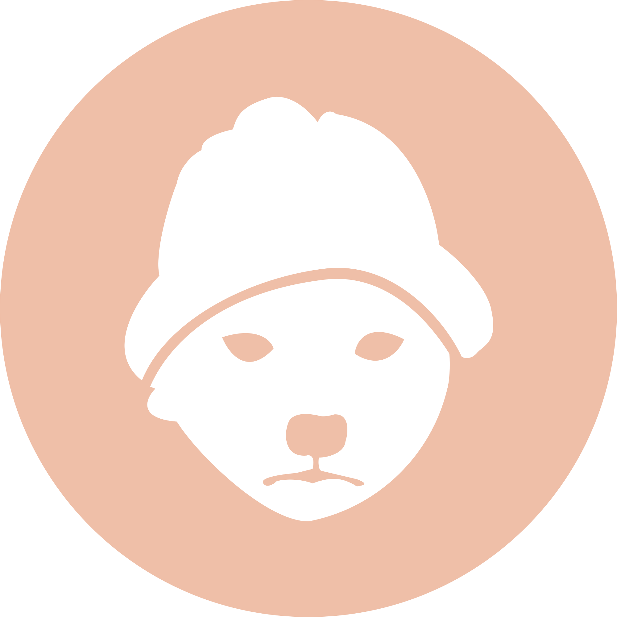 Файл:Dogwifhat (WIF) Логотип.png