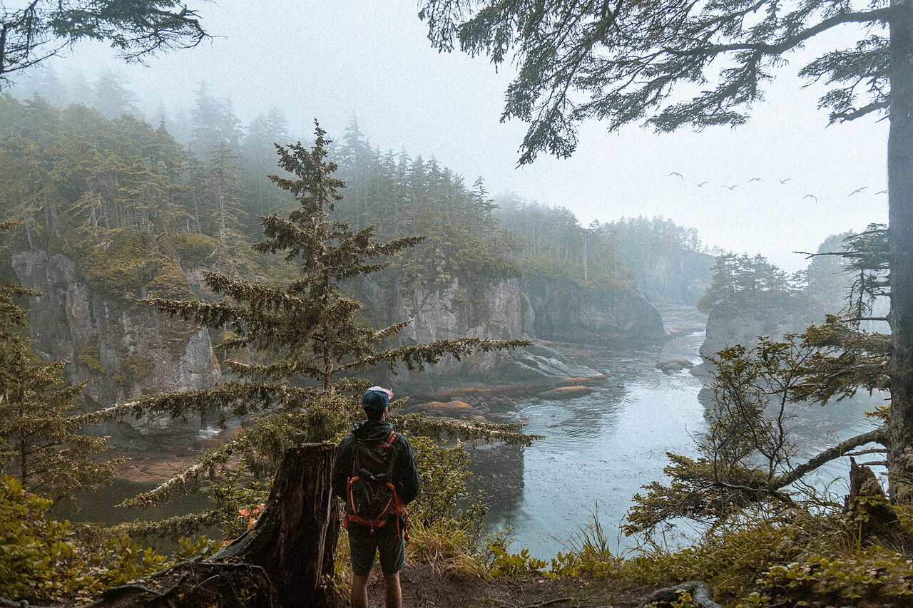 Файл:Bird Watching (Unsplash)_2.jpg