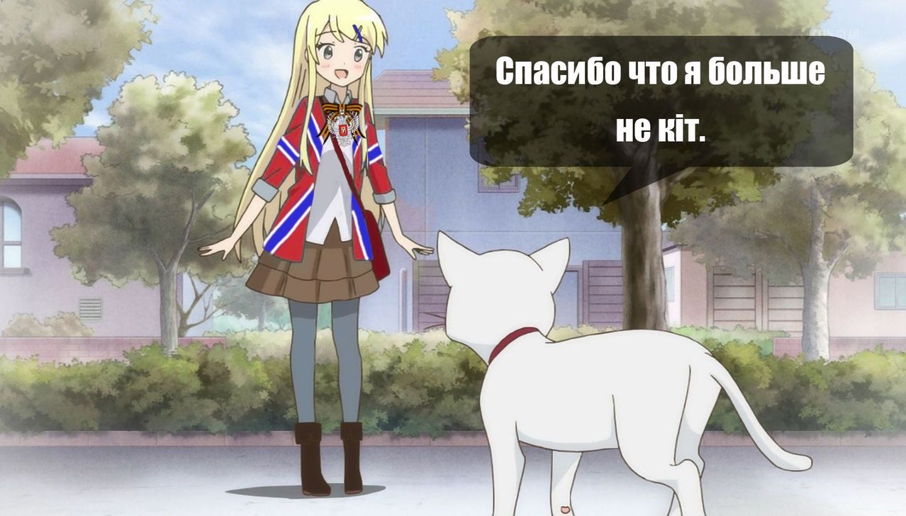 С котиком