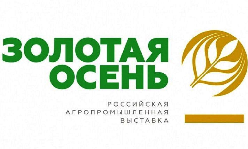 Файл:Золотая осень-2019.jpg